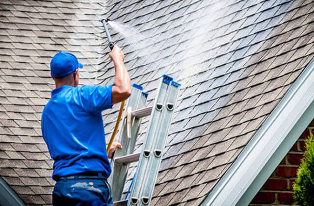 sarasota roof cleaning